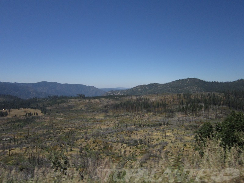 Aspecto tras un incendio en Yosemite National Park CA. USA.