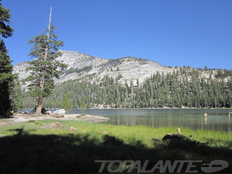  Yosemite National Park. California, USA.