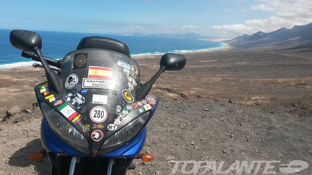 Folixa Astur en Cofete (Pájara) Fuerteventura. Islas Canarias. 