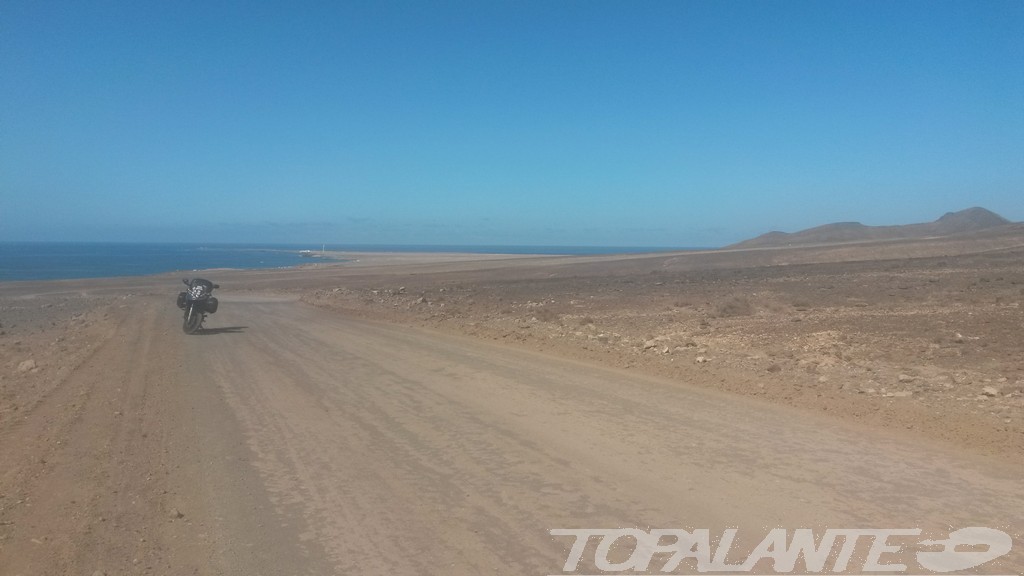 Folixa Astur en Jandía (Pájara) Fuerteventura. Islas Canarias. 