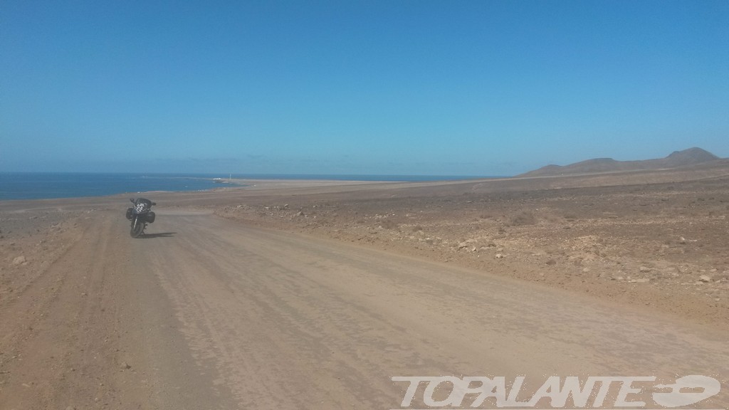 Folixa Astur en Jandía (Pájara) Fuerteventura. Islas Canarias. 