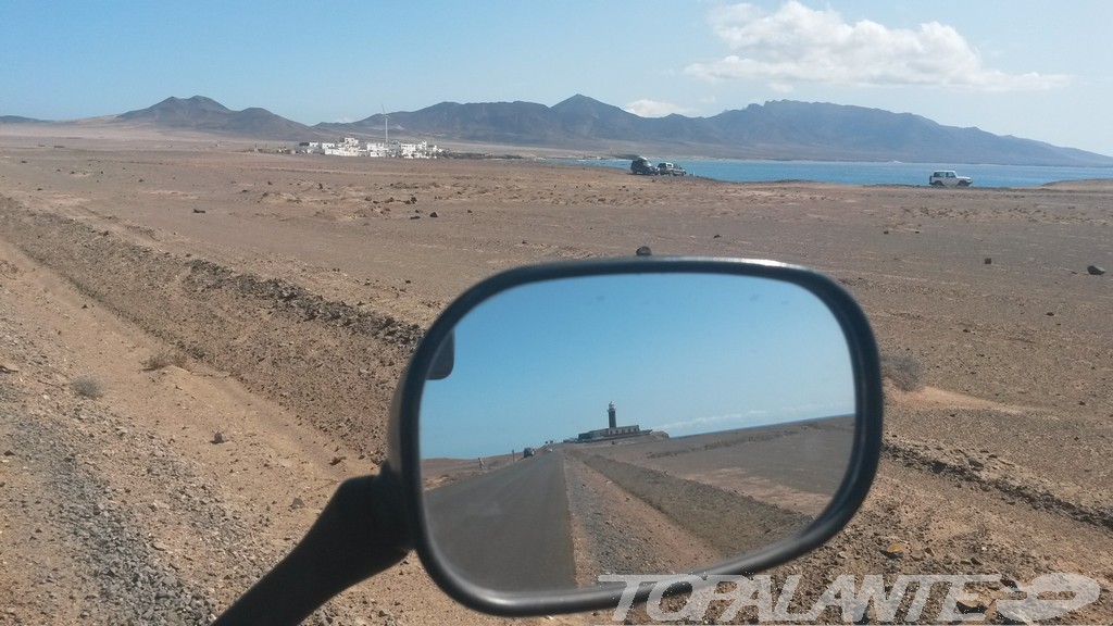 Folixa Astur en el Faro de Jandía (Pájara) Fuerteventura. Islas Canarias.