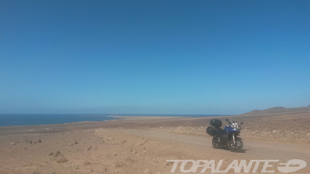 Folixa Astur en Jandía (Pájara) Fuerteventura. Islas Canarias. 