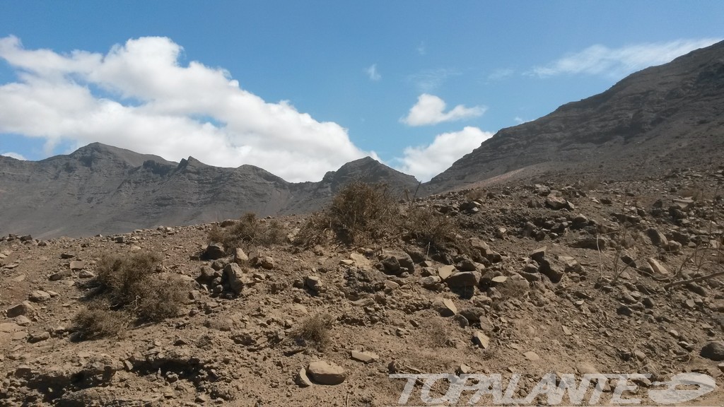 Pájara, Fuerteventura. Islas Canarias.