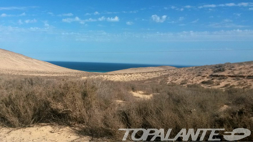 Pájara, Fuerteventura. Islas Canarias.