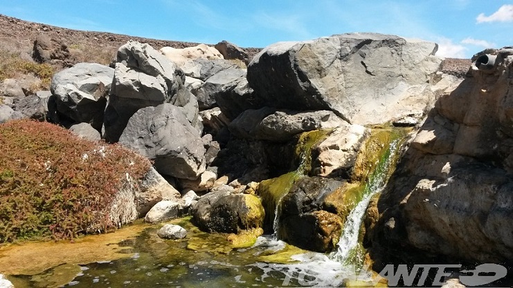 En algún lugar de Fuerteventura. Islas Canarias.