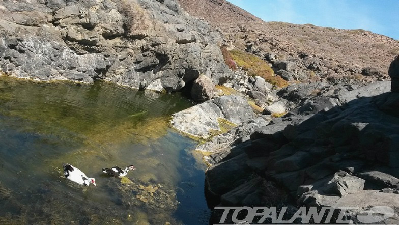 En algún lugar de Fuerteventura. Islas Canarias.