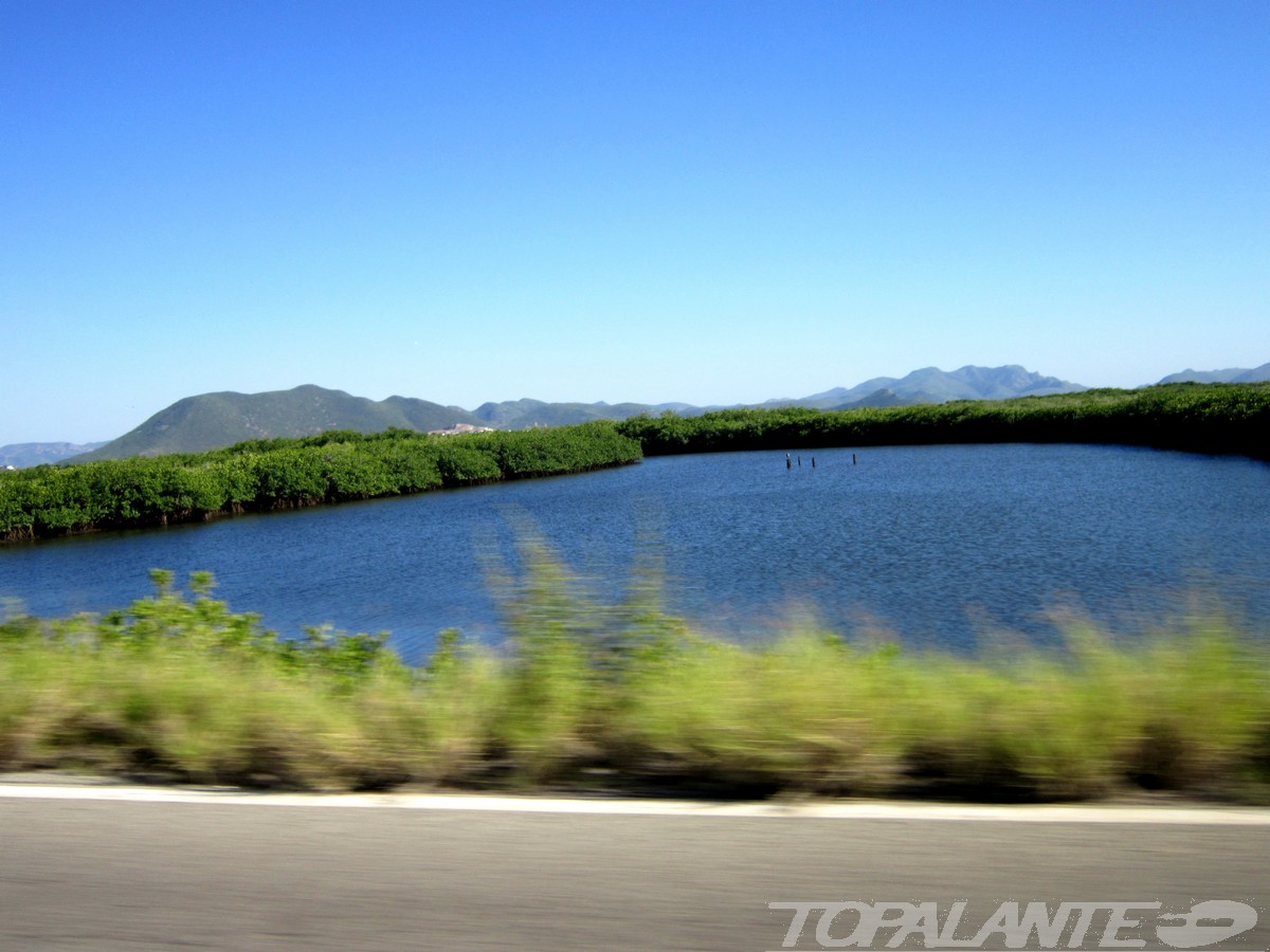 Costa del Pacífico. Sinaloa, México.