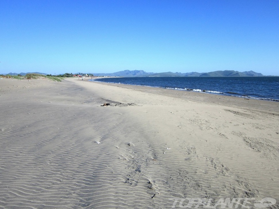 Costa del Pacífico. Sinaloa, México.