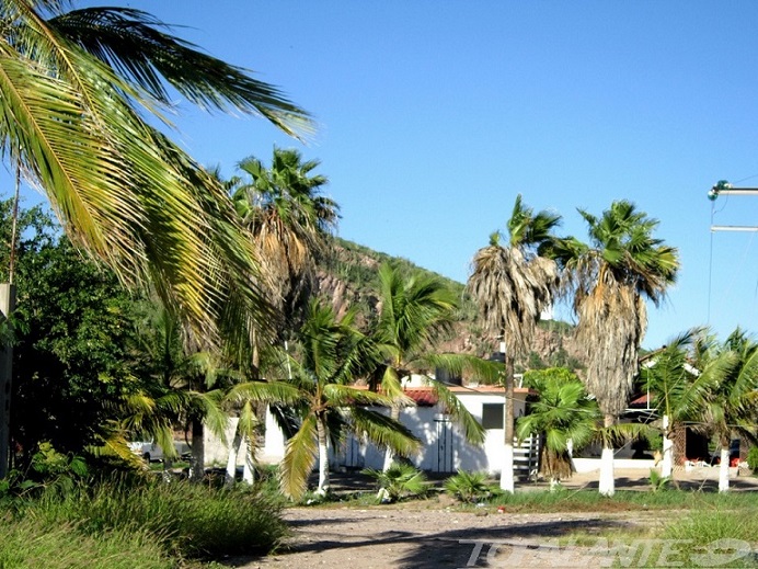 Costa del Pacífico. Sinaloa, México.
