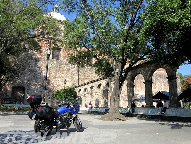 Folixa Astur en Guadalajara (Jalisco), México.