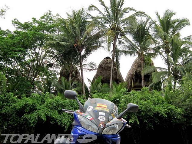 Folixa Astur en la costa del Pacífico en Panamá.