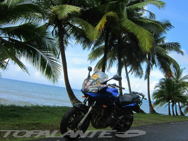 Folixa Astur en la costa del Atlántico camino Portobelo, Panamá.