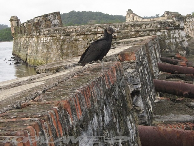  Portobelo, Panamá.