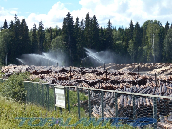 Arvidsjaur, Norrbotten County, Lapland, Suecia/Sverige.