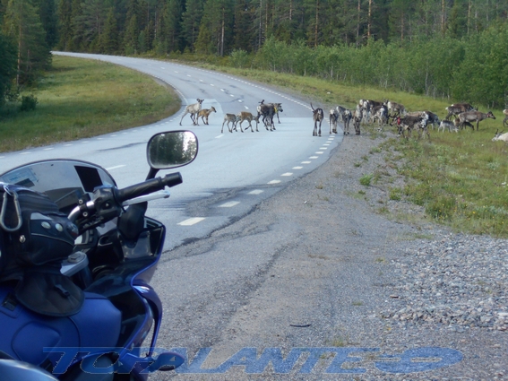 Norrbotten län, Lapland, Suecia/Sverige.