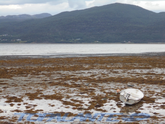 Kåfjord, Alta, Finnmark, Noruega/Norge.