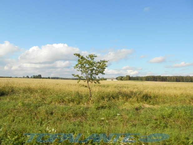 Bielsk Podlaski,Polska/Polonia.