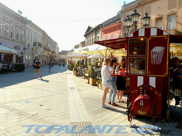 Novi Sad, Voivodina, Serbia./Нови Сад, Војводина, Србија.