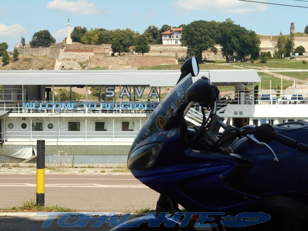 Folixa Astur en Belgrado, Serbia. / Фолија Астур у Београд, Србија.  