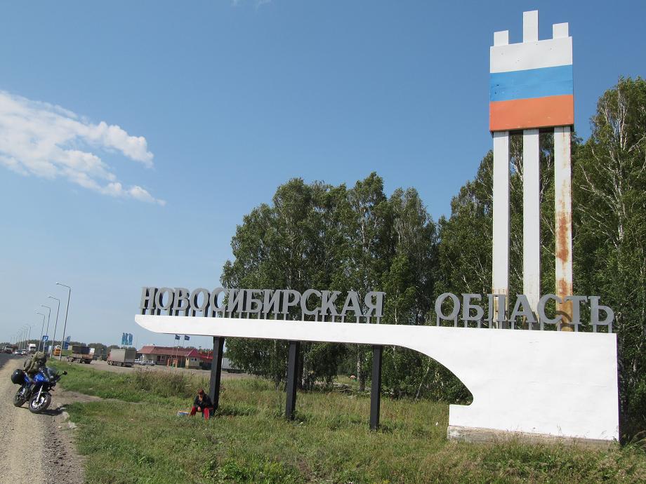 Folixa Astur en el límite del Oblast de Nobosibirsk, Rusia. Предел Новосибирской области, Россия.   