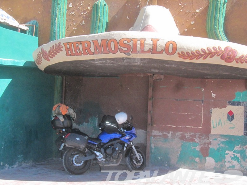 Folixa Astur en Hermosillo (Sonora). México.