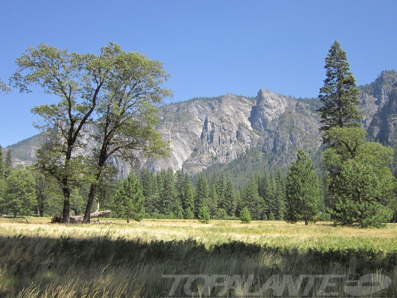 Northside Drive, Yosemite National Park CA. USA.