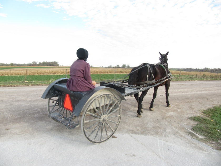 Mujer Amish en los campos de Bloomfield, Iowa, EEUU.