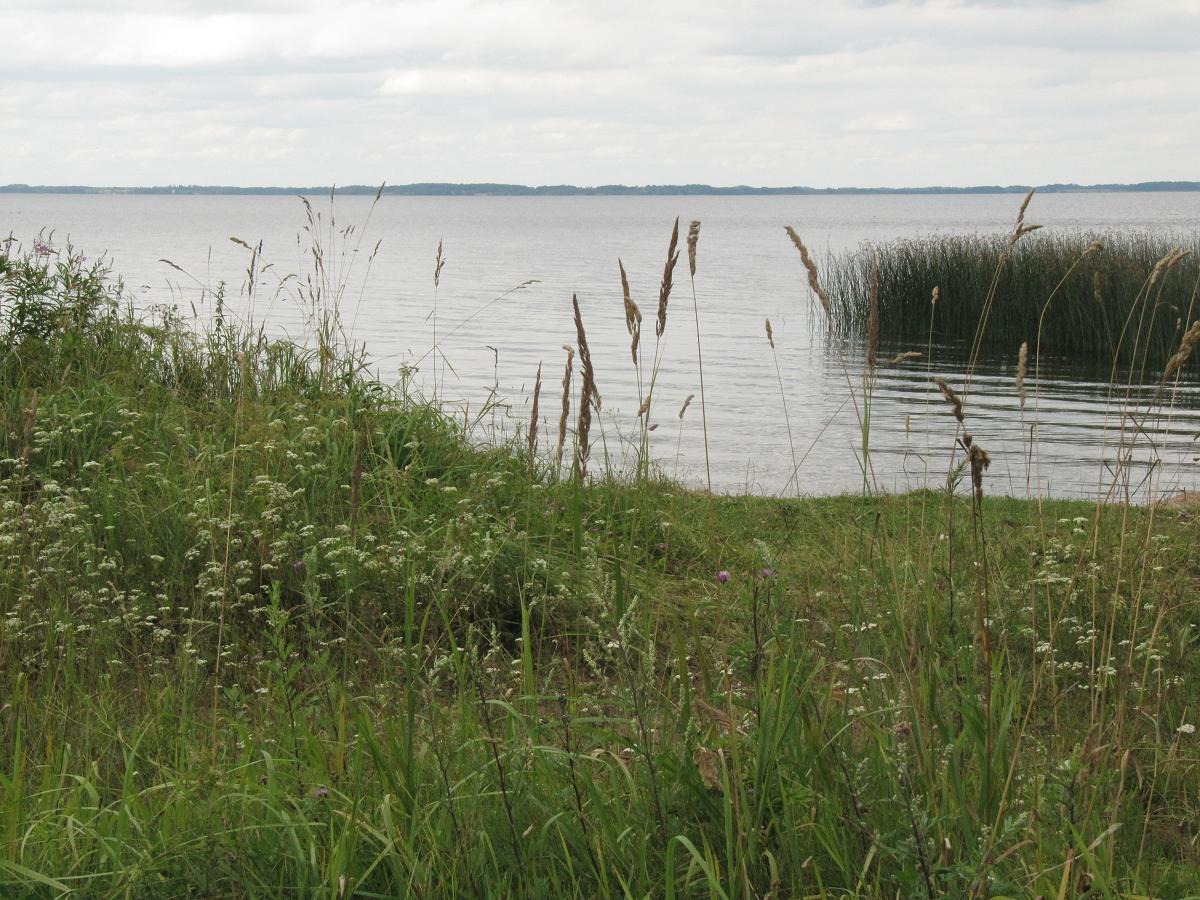 Parque Nacional de Räknas, Letonia