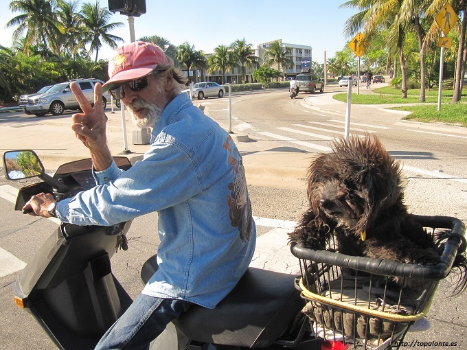 Un motorista lleva a un perro en la canasta en Key West, (Cayo Hueso) FL, EEUU.