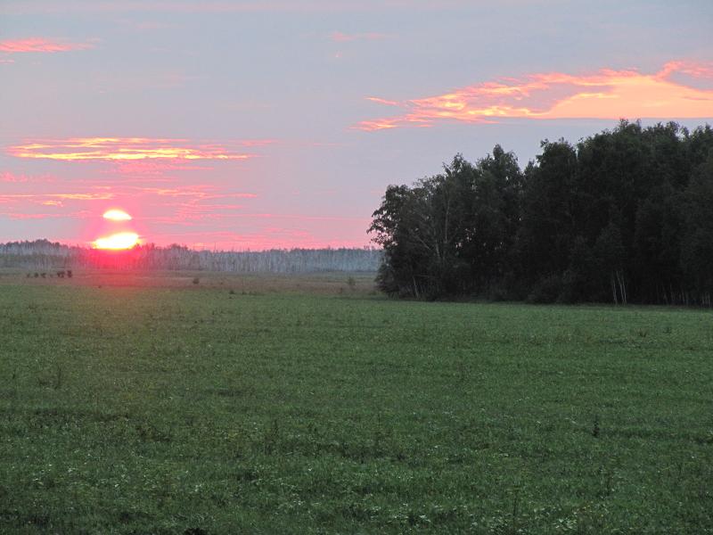Anochecer cerca de Krutinka (Oblast de Omsk) .