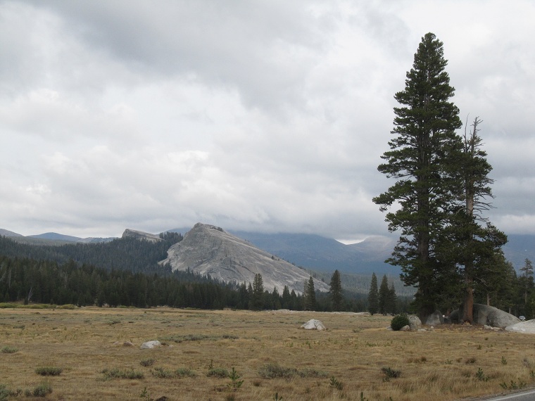  Yosemite National Park, CA.